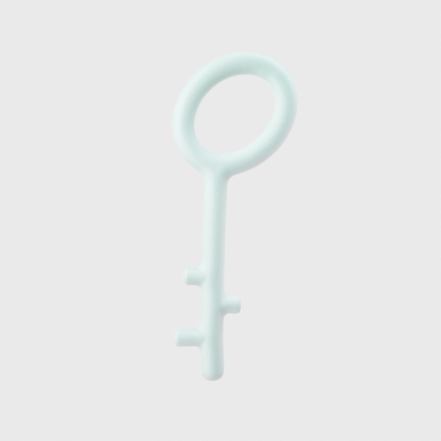 Key-shaped Dog Chewing Toy - Large - Pink