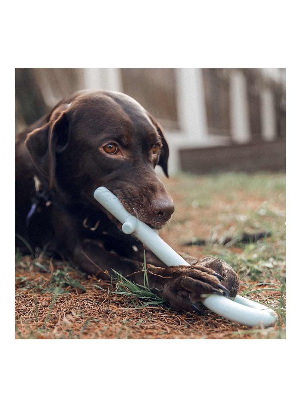 Key-shaped Dog Chewing Toy - Large - Pink