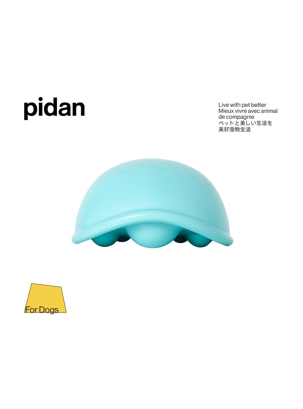 Dog Squeaky Toy - Turtle - Blue