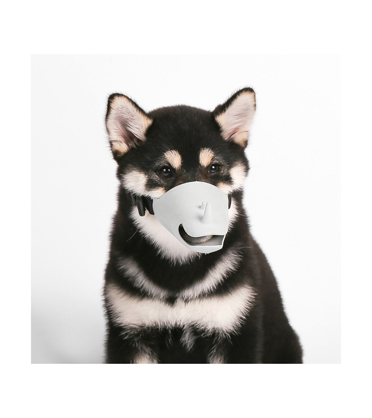 Dog Muzzle - Rhino - Medium