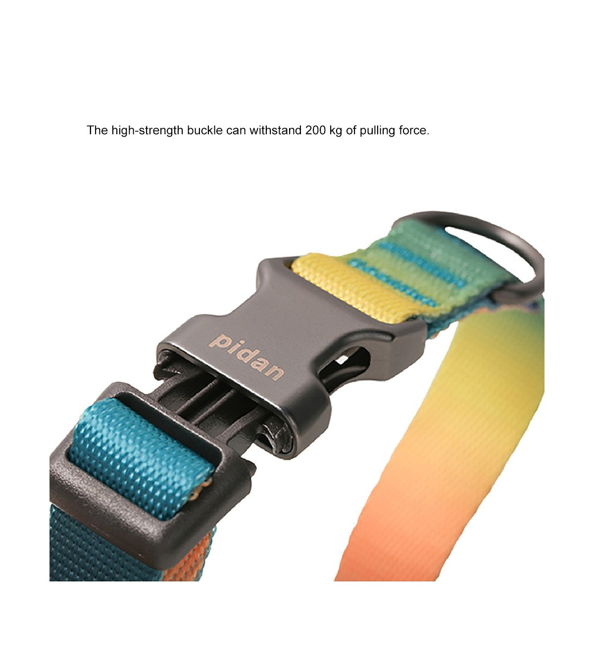 Dog Collar with Metal Buckle - Blue-green Color Gradient Style