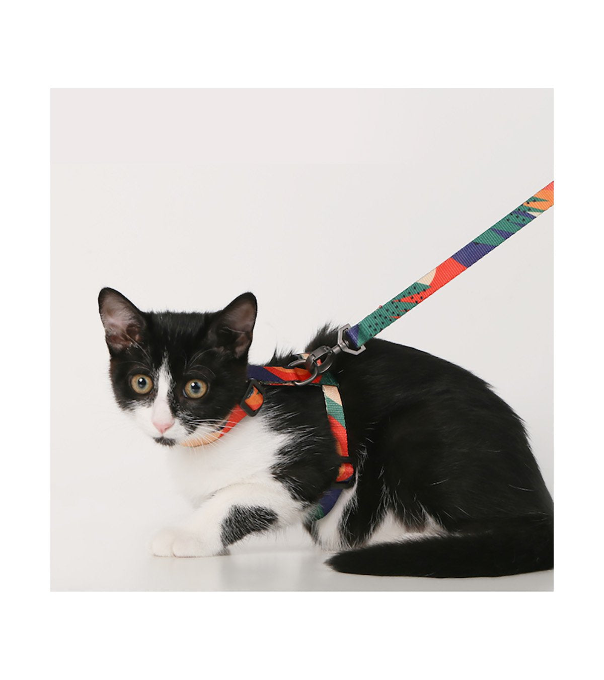 Cat Leash - Harness & Leash Set - Solid Color