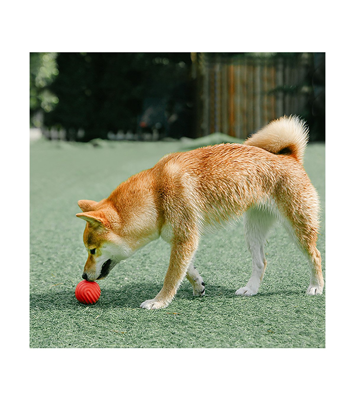 Dog Toy Ball - Water Ripple Style - Red