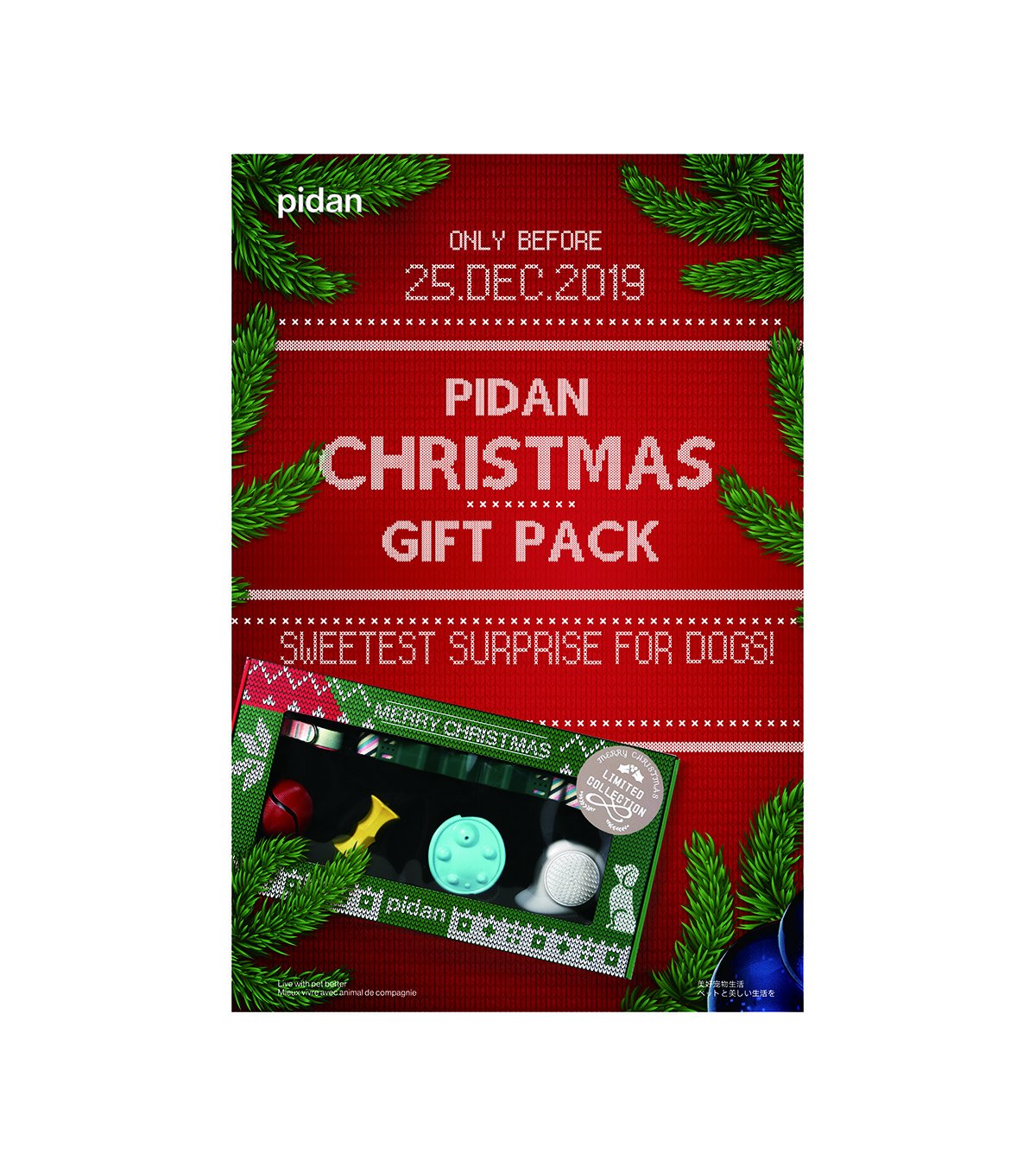 Christmas Gift Box - For Dog