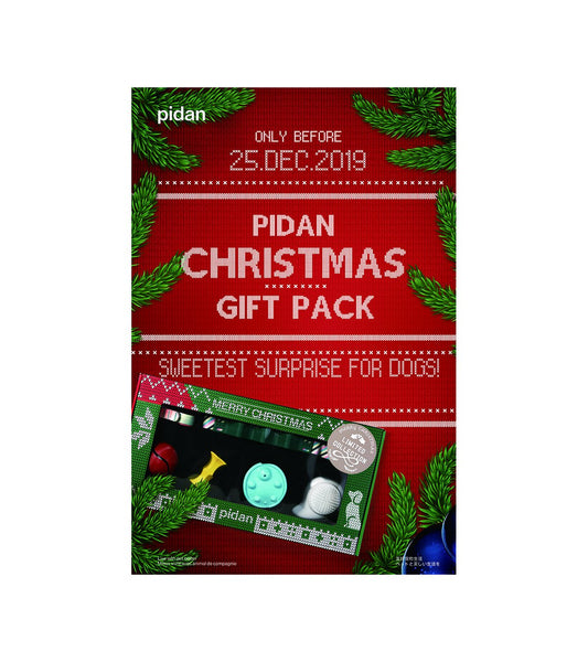 Christmas Gift Box - For Dog