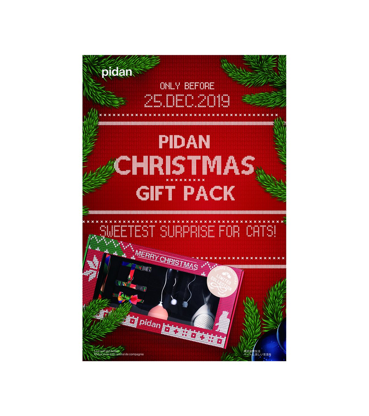 Christmas Gift Box - For Cat